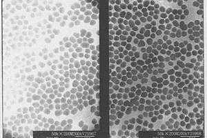 双结构二氧化硅复合有机染料发光纳米粒子及其制备方法