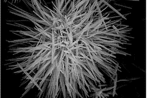石墨烯/氧化锌纳米花/ITO电极的制备及应用