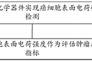基于癌细胞表面电荷强度的评估肿瘤恶性程度的方法