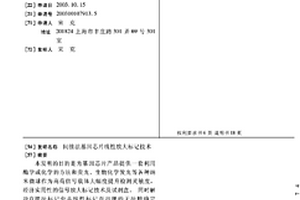 间接法基因芯片线性放大标记技术