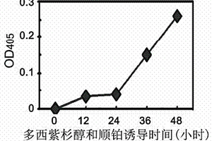 以DNA聚合酶δ为靶标筛选化疗药物及药效的方法