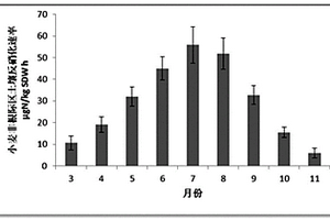 测定非根际区土壤反硝化的方法