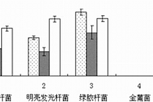 内毒素MIP-SPR芯片、制备方法及其用途