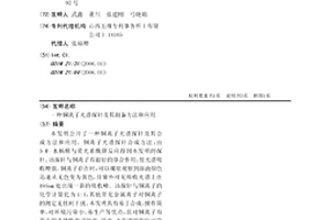 铜离子光谱探针及其制备方法和应用