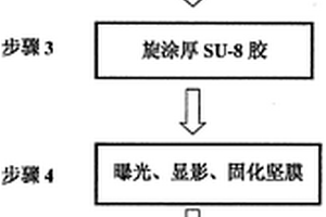 集成有微流控系统的光学微纳生物传感器的制作方法