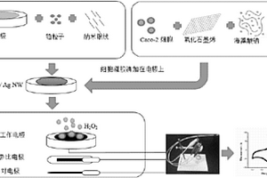 纳米材料细胞传感器、其制备方法以及利用该传感器评价抗氧化多肽活性的方法