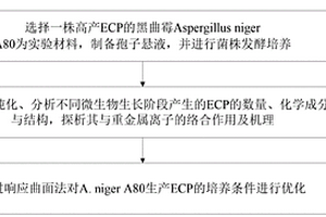 黑曲霉生产胞外多聚物的优化培养基及培养方法