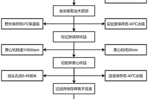 提取木质部液流中钾离子的方法