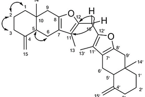 具有抗肿瘤活性的化合物及其制备方法与应用