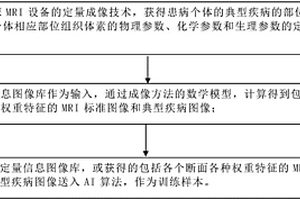 用于AI+MRI影像辅助诊断的自动增广训练样本的构建方法及系统