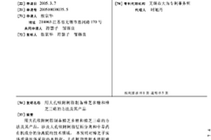 用大孔吸附树脂制备樟芝多糖和樟芝三萜的方法及其产品