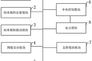 用于胶质瘤的光动力学治疗系统及方法