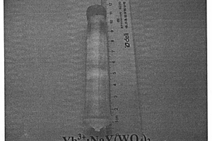 镱激活钨酸钇钠新型双波长激光晶体