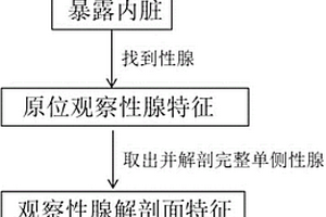 卵形鲳鲹早期性别判定的方法