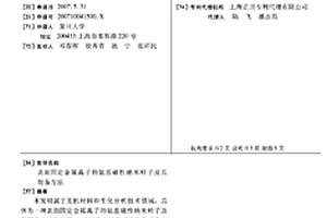 表面固定金属离子的氨基磁性纳米粒子及其制备方法