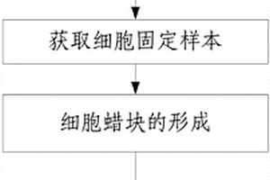 完整呈现恶性肿瘤细胞位置的细胞块石蜡切片制作方法