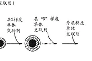 具有梯度组成的聚合物颗粒及其生产方法