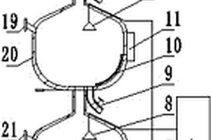 华支睾吸虫成虫染色标本制作装置