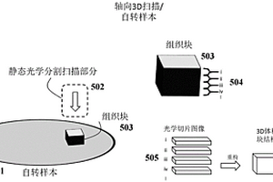 用于复用的旋转成像生物测定的装置和方法