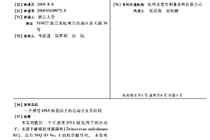 一个感受DNA损伤因子的启动子及其应用
