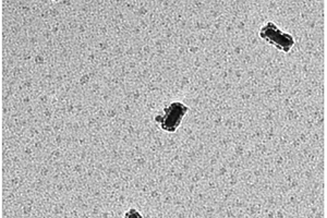金钯双金属卫星结构组装体及其制备方法和应用
