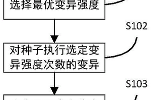 模糊测试种子变异强度优化方法