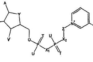 稳定的NAD/NADH衍生物
