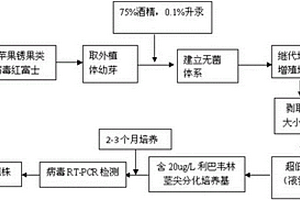 富士苹果组培苗锈果类病毒脱除方法