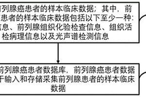 前列腺癌光声谱数据库及构建方法