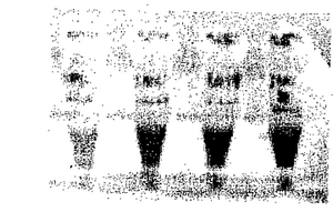 量子点免疫荧光探针的制备方法