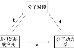 分子模拟石房蛤毒素特异性多肽的筛选方法及应用