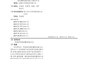 氨麻美敏胶囊的制备方法