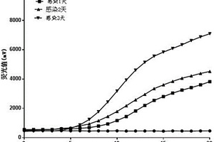 快速鉴定感染日本血吸虫钉螺的方法