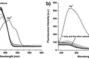 吡咯双腙衍生物荧光探针及其制备方法和应用