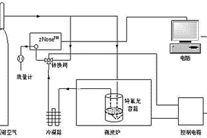 用于果蔬加热干燥过程中的气味在线监测方法