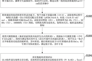 LED连续光和不同频率间歇光对黄瓜生长的测试方法