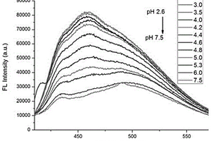 中氮茚羧酸类pH荧光探针及其应用