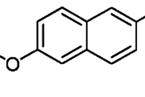 双功能萘环类荧光探针