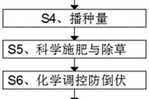 提高小麦中β-葡聚糖含量的种植方法