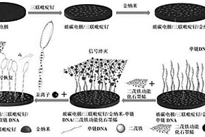 修饰玻碳电极的制备方法及其应用
