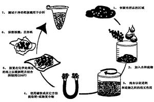 样品制备方法和装置