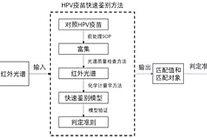 鉴别HPV疫苗真假的方法