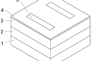 高响应的铁电集成石墨烯等离子体太赫兹探测器