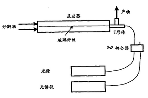 用光纤光栅在反应器中测量温度分布