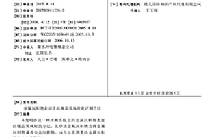金属沉积物表面上出现晶须风险的评测方法
