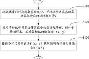 基于多标记学习的抗菌肽活性预测方法