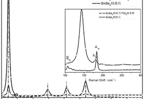 SnSe<Sub>2</Sub>/H-TiO<Sub>2</Sub>异质结光电探测器件及其制备方法