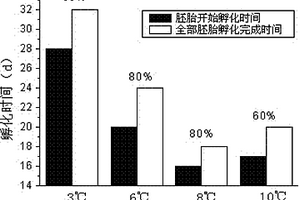 环境雌激素对大银鱼胚胎发育毒性测试方法