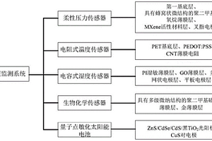 健康监测系统及其制备方法