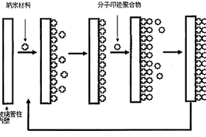 痕量真菌毒素分子印迹柱制备方法及应用